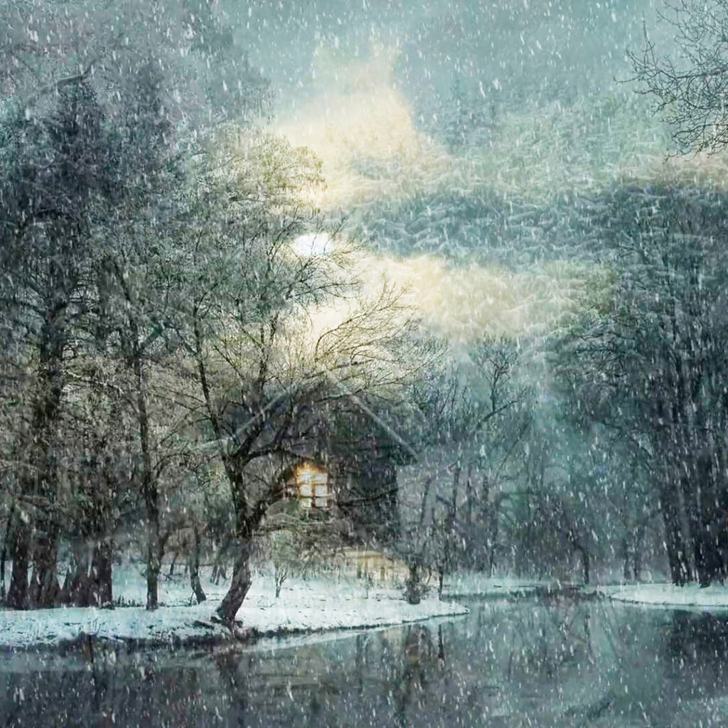 Snow scene